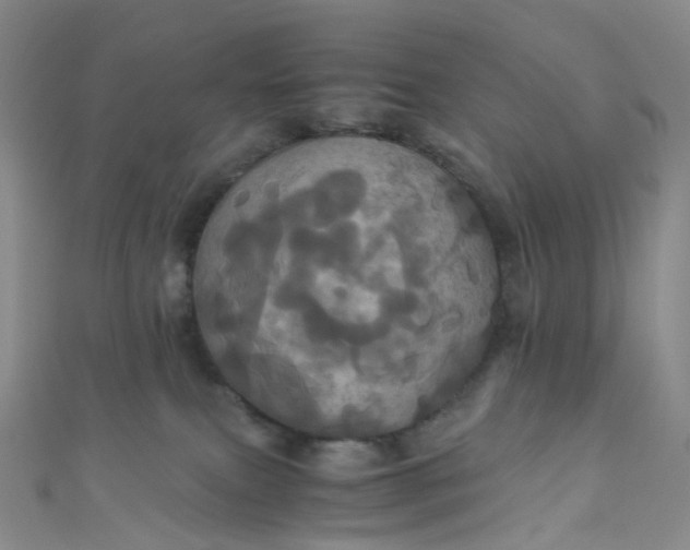 X0000110990087200907022125