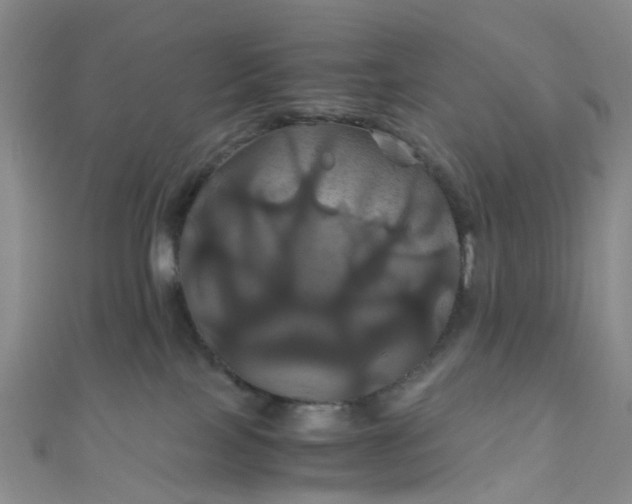 X0000110990089200907022125