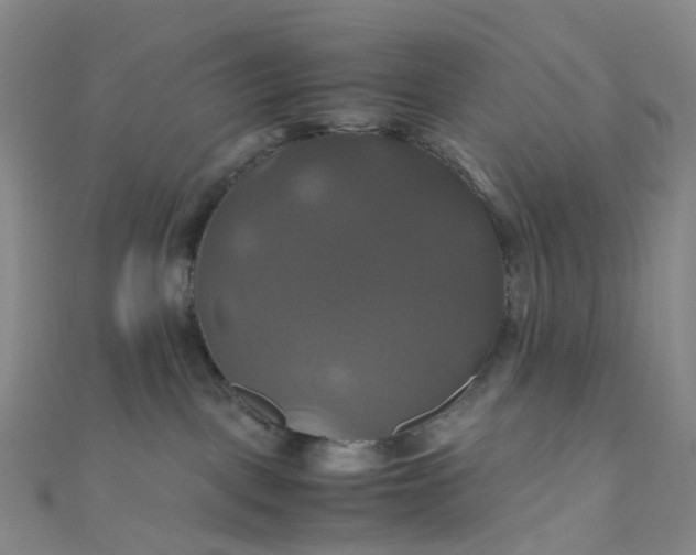 X0000110990093200907022125