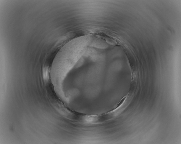 X0000110990094200907022125