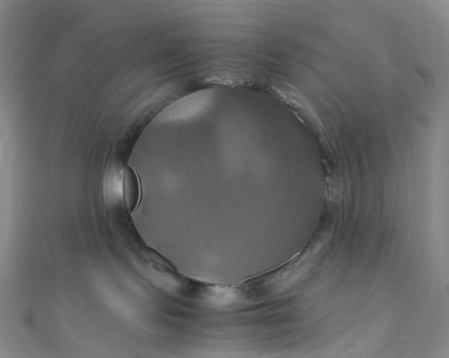 X0000110990095200907022125