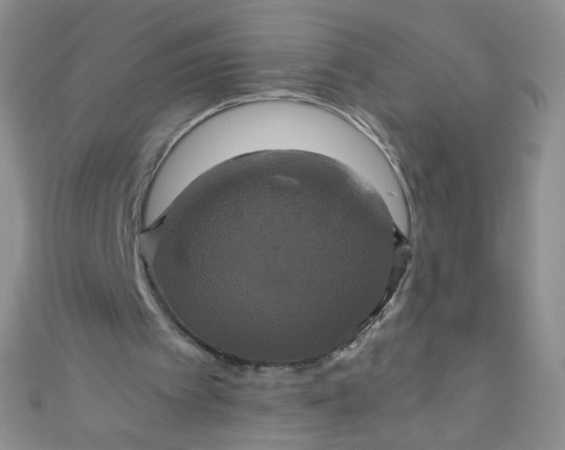 X0000110990097200907022124