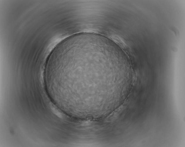 X0000110990098200907022124