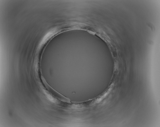 X0000110990101200907022124