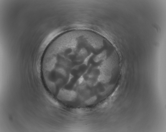 X0000110990103200907022124