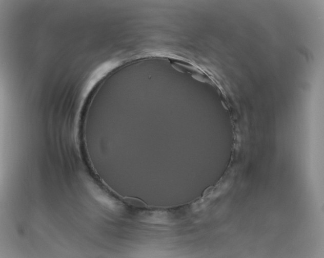 X0000110990104200907022124