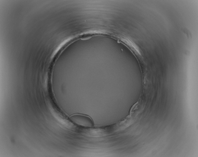 X0000110990108200907022124