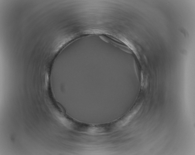 X0000110990109200907022124