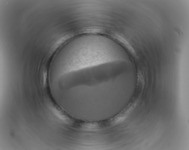 X0000110990110200907022124