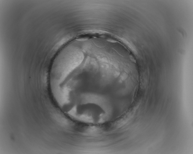 X0000110990111200907022124