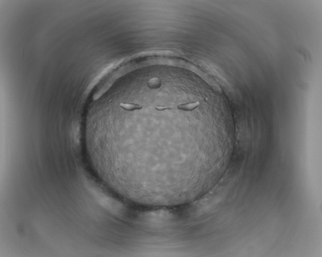X0000110990112200907022124