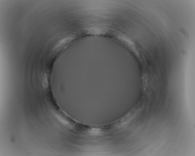 X0000110990114200907022124