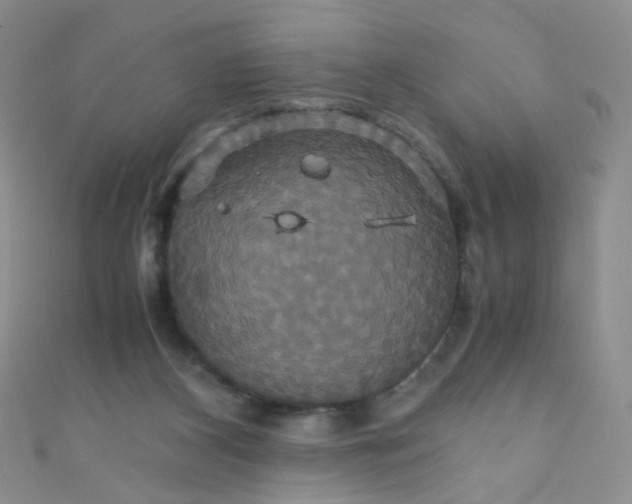 X0000110990116200907022124