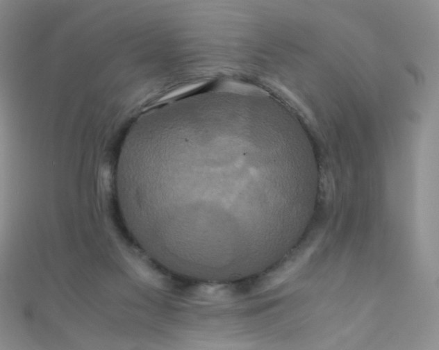X0000110990117200907022124