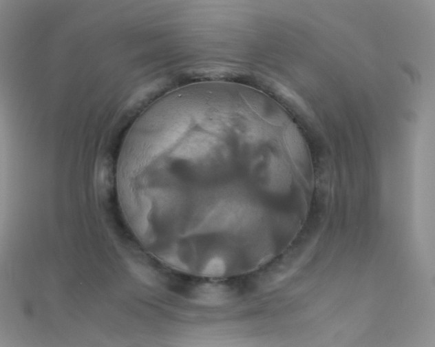 X0000110990119200907022124