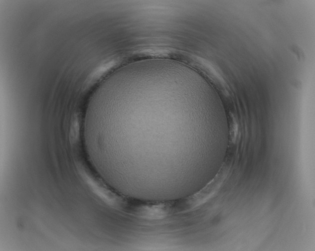 X0000110990120200907022124