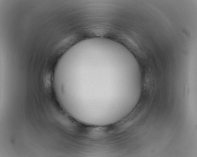 X0000110990122200907022124