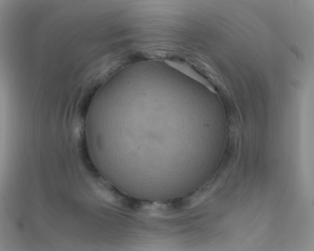 X0000110990125200907022124