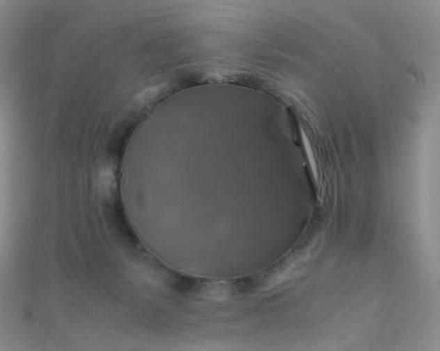 X0000110990127200907022124