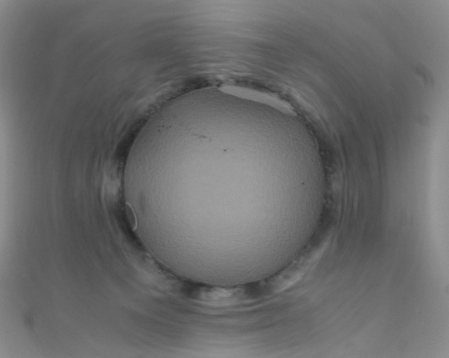 X0000110990129200907022124