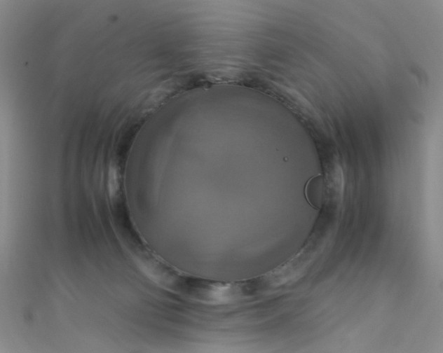 X0000110990130200907022124