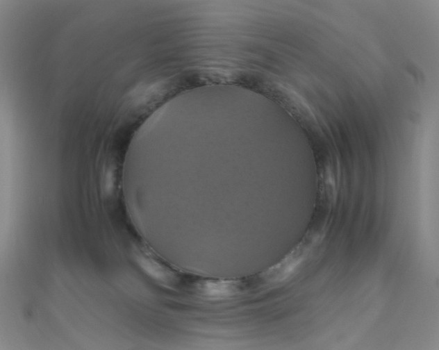 X0000110990134200907022124