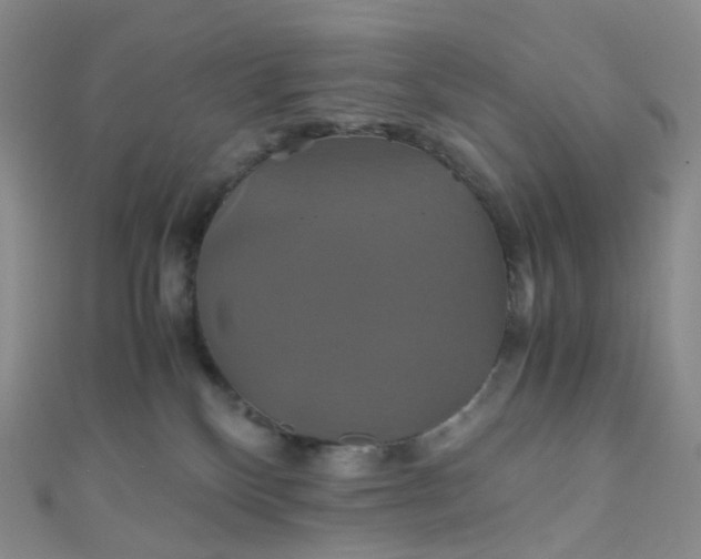 X0000110990136200907022124
