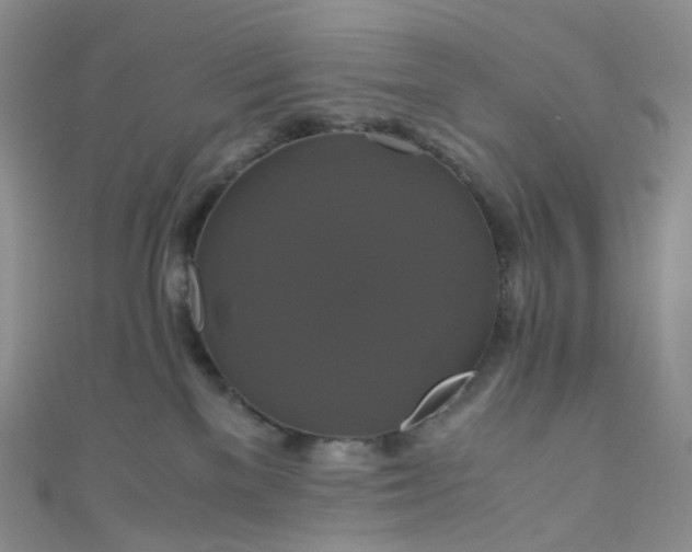 X0000110990137200907022124
