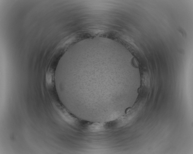 X0000110990138200907022124