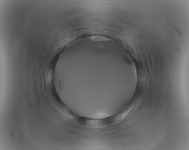 X0000110990139200907022124