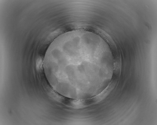 X0000110990142200907022124