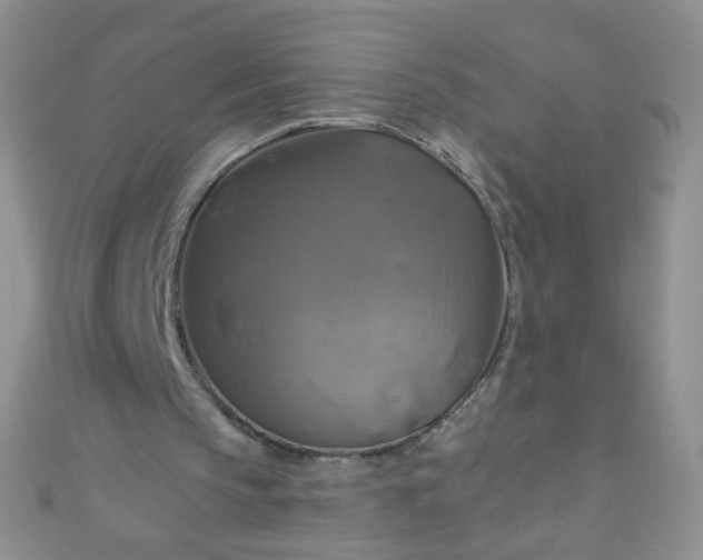 X0000110990145200907022123