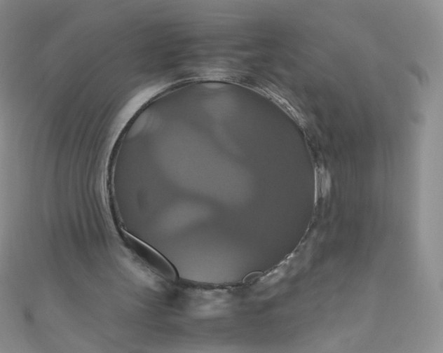 X0000110990147200907022123