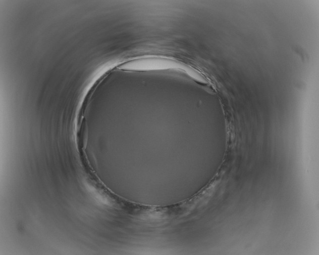 X0000110990148200907022123