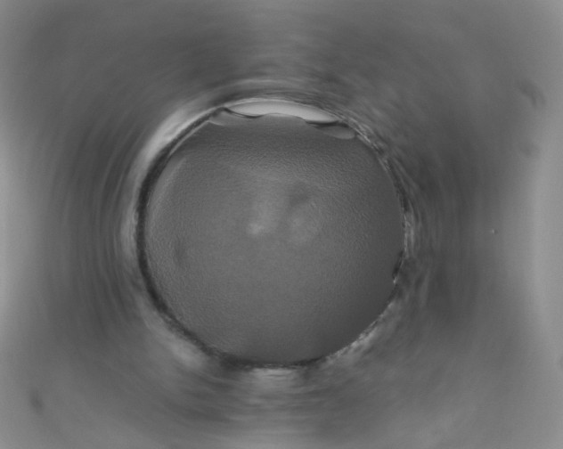 X0000110990150200907022123