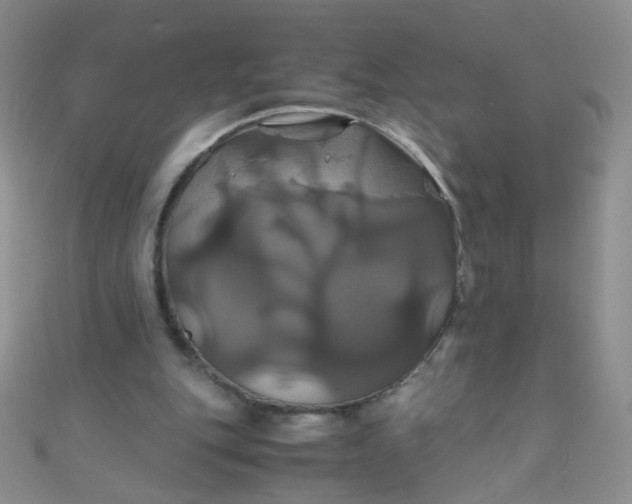 X0000110990151200907022123
