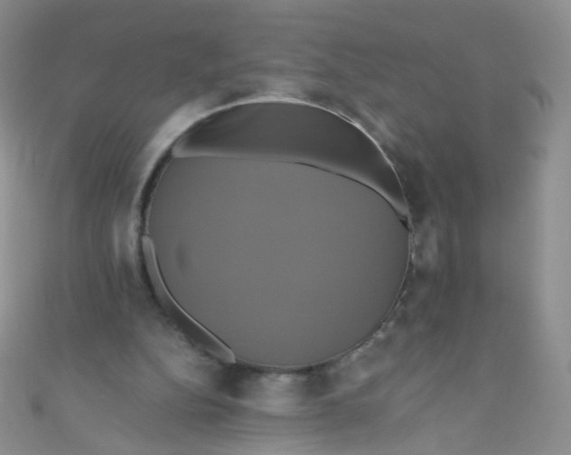 X0000110990152200907022123