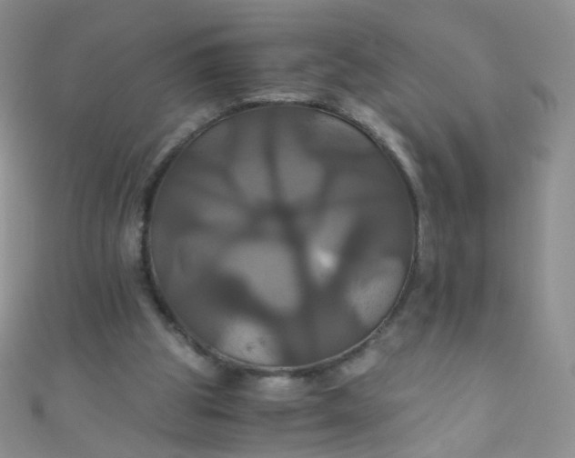X0000110990153200907022123