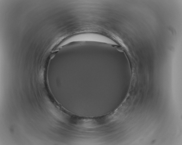 X0000110990154200907022123