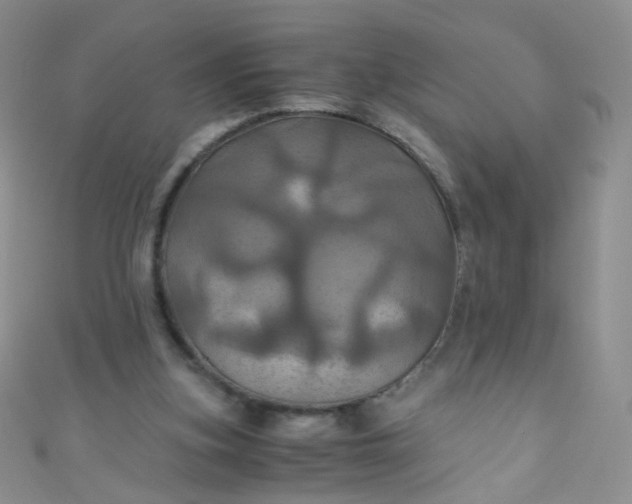 X0000110990155200907022123