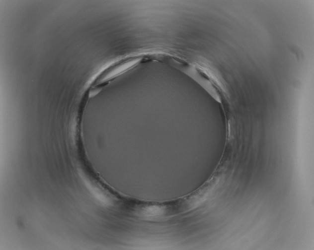 X0000110990156200907022123