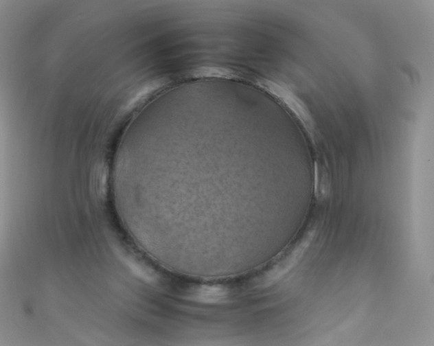 X0000110990157200907022123