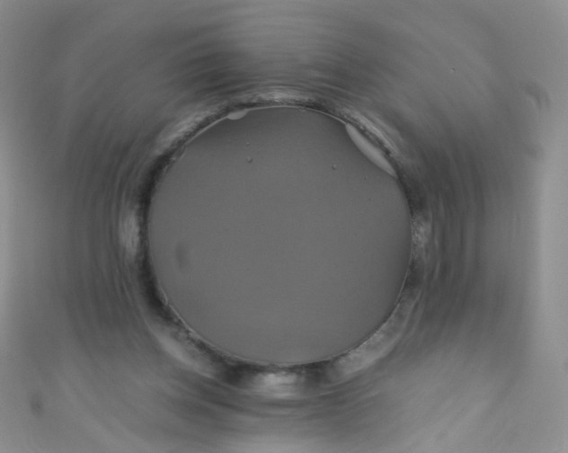 X0000110990158200907022123