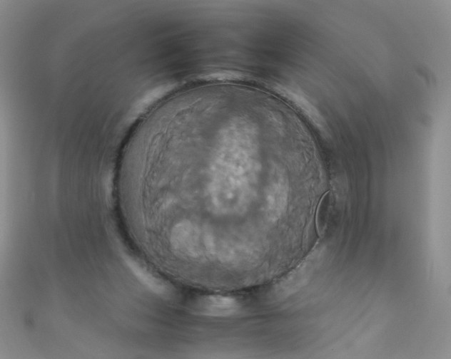 X0000110990159200907022123