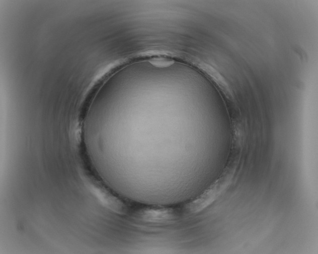 X0000110990160200907022123