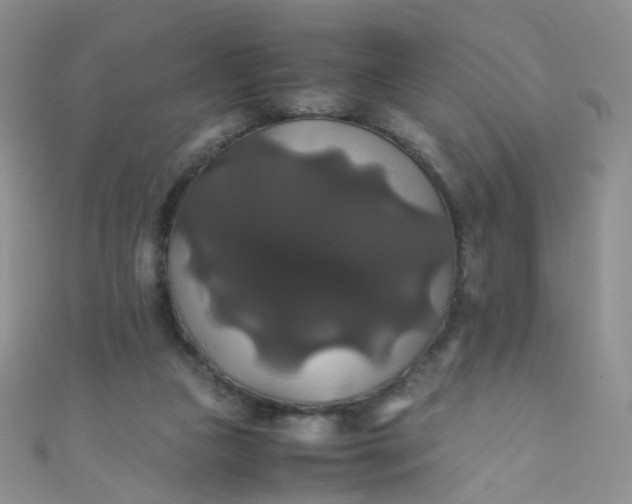 X0000110990161200907022123