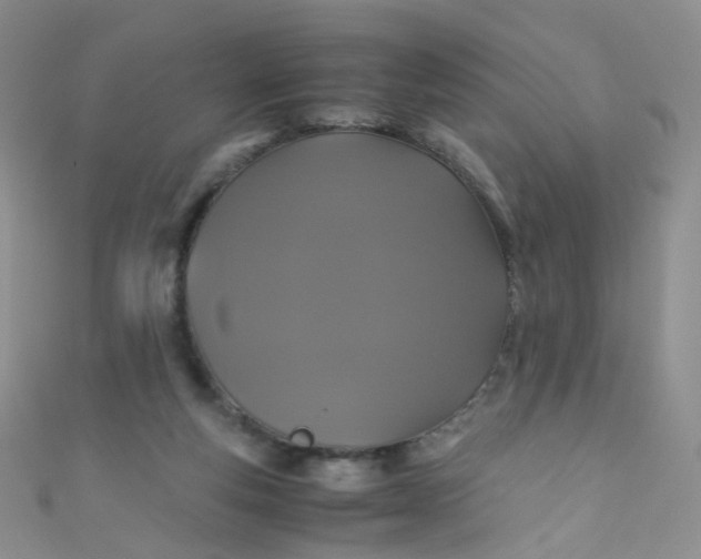 X0000110990163200907022123
