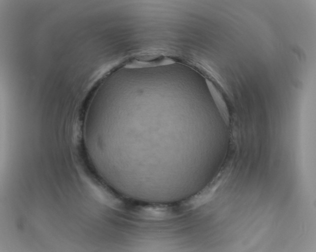 X0000110990164200907022123