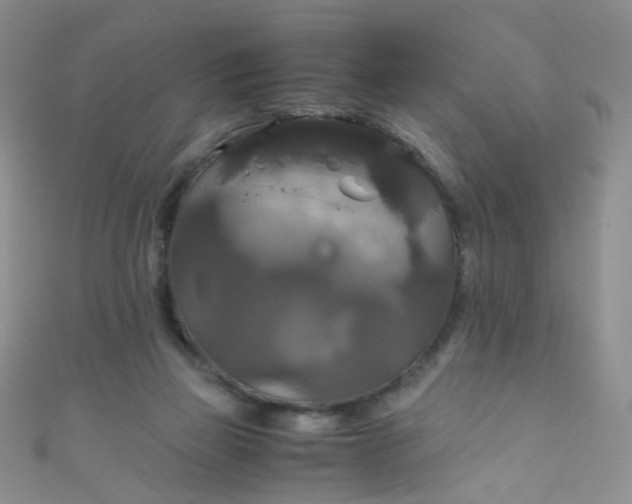 X0000110990165200907022123