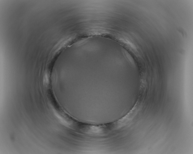X0000110990166200907022123